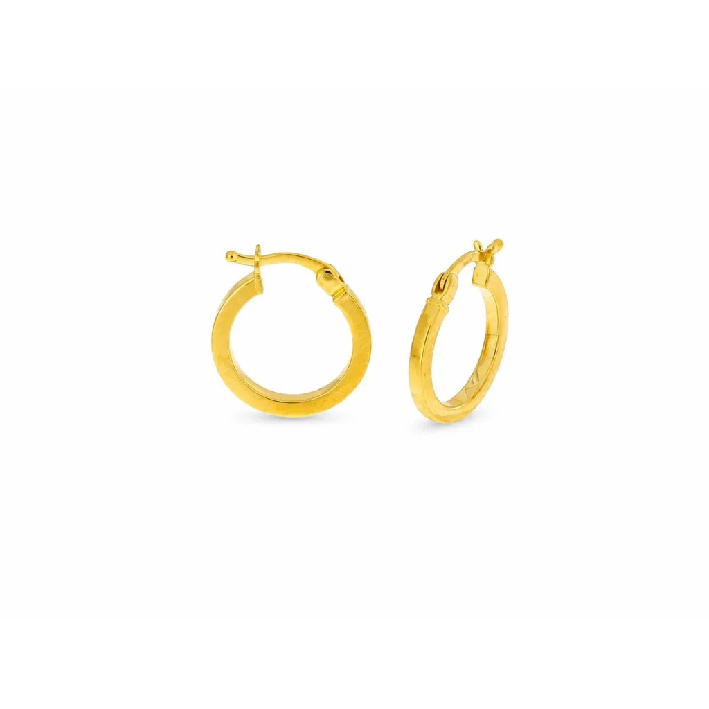 Hollow Gold Earring
