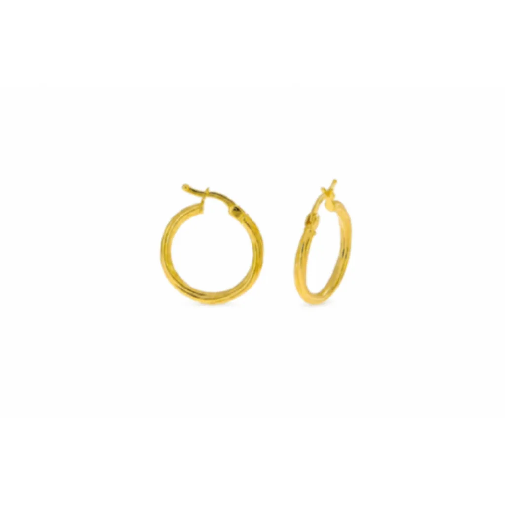 Hollow Gold Earring